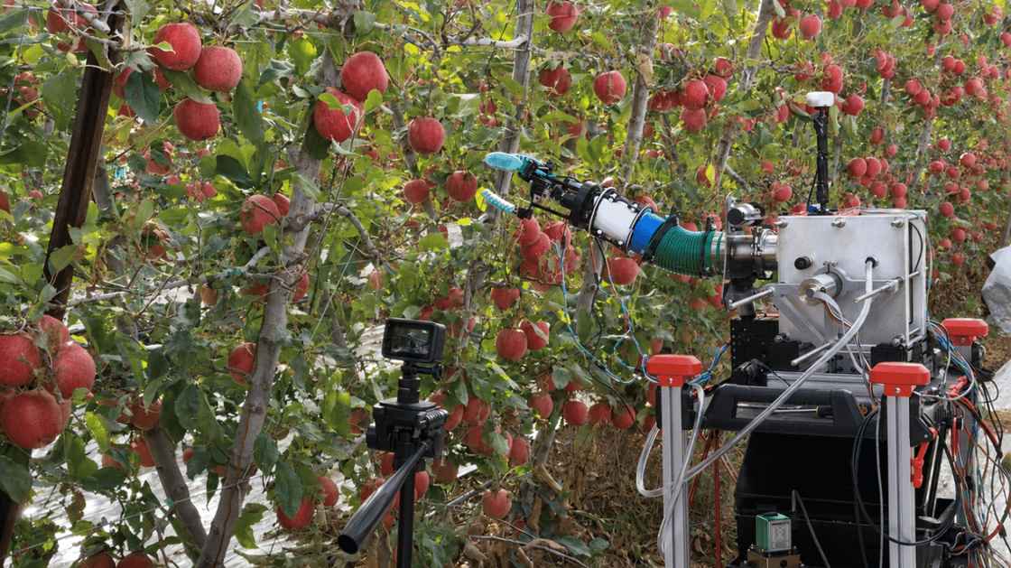0903_orchard