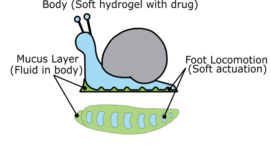 1920_picture1-7