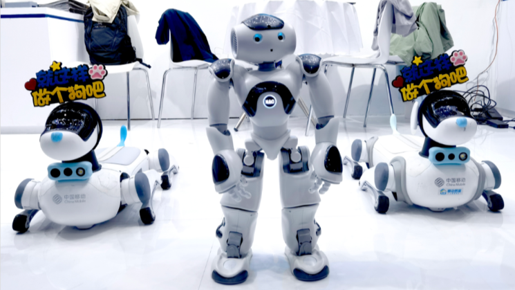 Nao 7 Robot at IROS2025 con