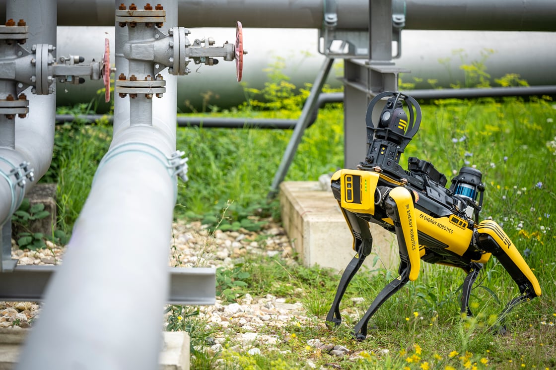 Energy Robotics Branded Spot