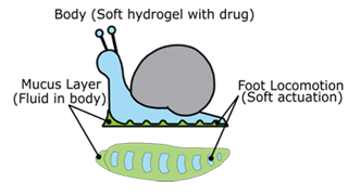 Insights_Robotics_snails_img1