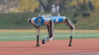 kaist hound 800