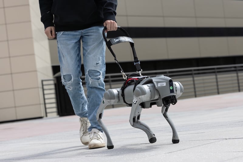 robot service dogs(2)