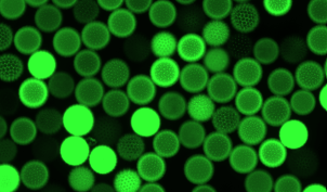 Screenshot 2026-02-13 133425