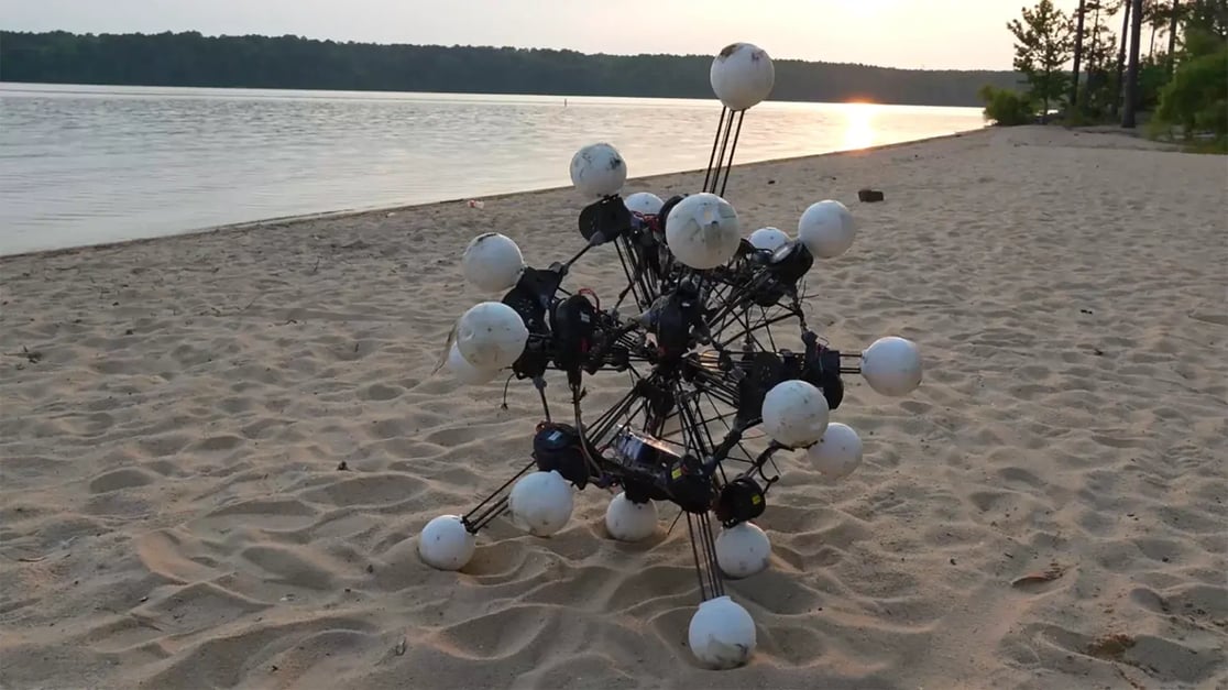 argus-beach-1536x864